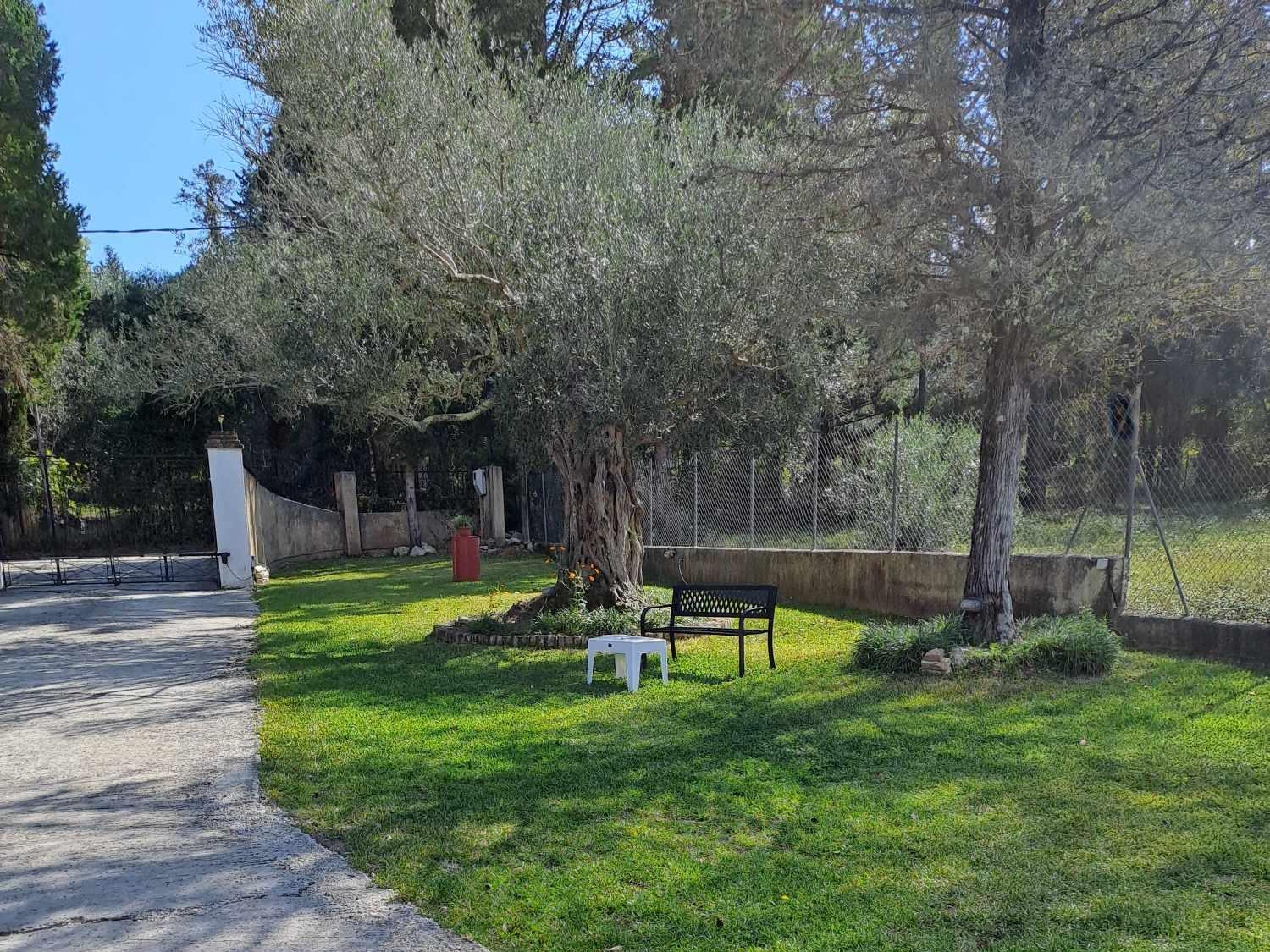 Villa Haris Gazátika Екстериор снимка